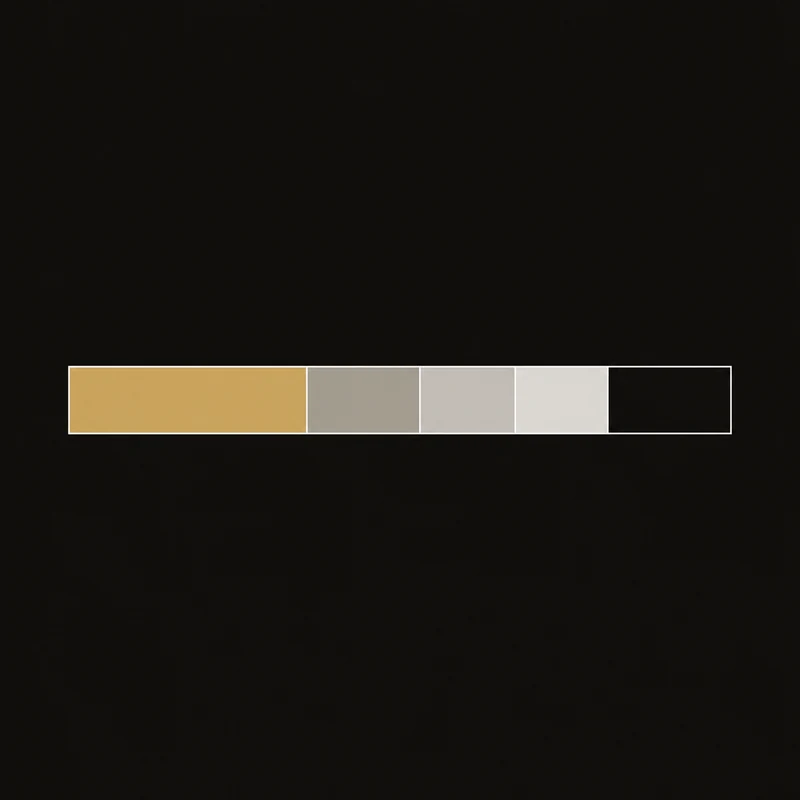 A single horizontal bar divided into five segments. The leftmost and largest is filled gold, the next three are progressively dimmer greys, and the rightmost is empty.