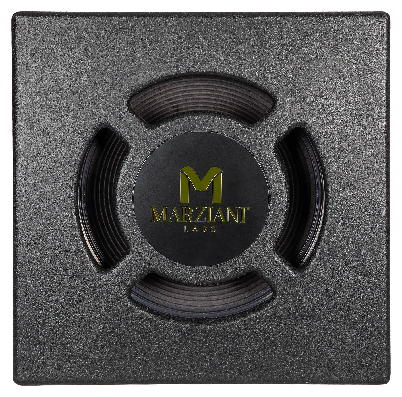 Marziani Brio, front view, showing the full baffle and driver assembly.